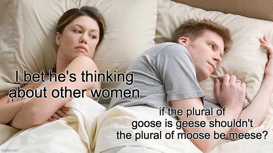 Words are weird | I bet he's thinking about other women; if the plural of goose is geese shouldn't the plural of moose be meese? | image tagged in memes,i bet he's thinking about other women | made w/ Imgflip meme maker