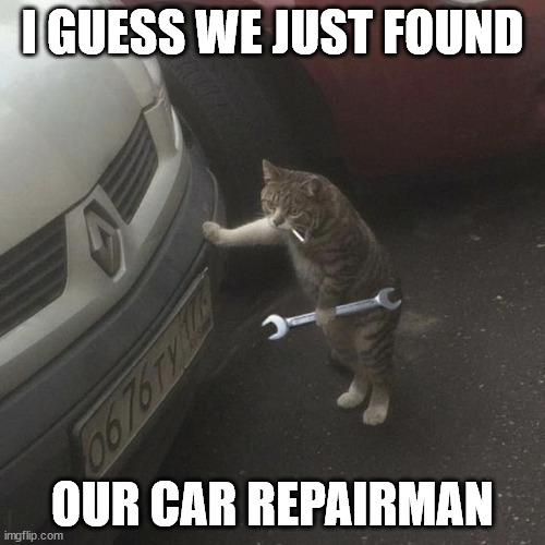 or repair-cat! | I GUESS WE JUST FOUND; OUR CAR REPAIRMAN | image tagged in cat repairman is shocked | made w/ Imgflip meme maker