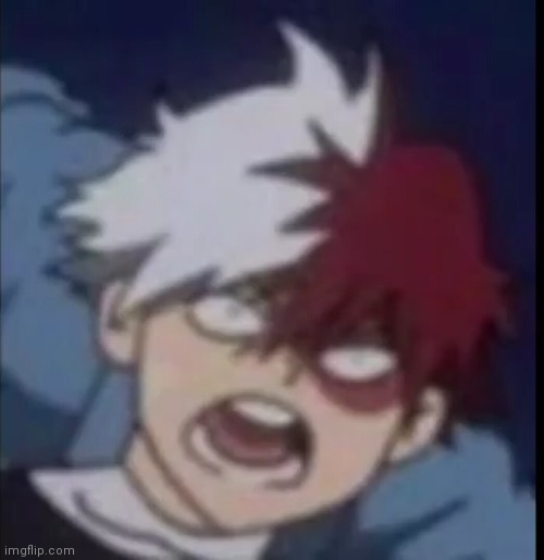 Todoroki Low Quality | image tagged in my hero academia | made w/ Imgflip meme maker