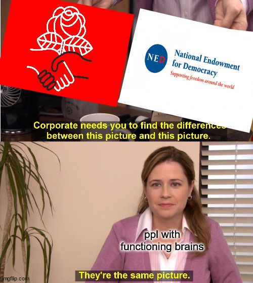 NED is the CIA wearing a mask | ppl with functioning brains | image tagged in memes,they're the same picture | made w/ Imgflip meme maker