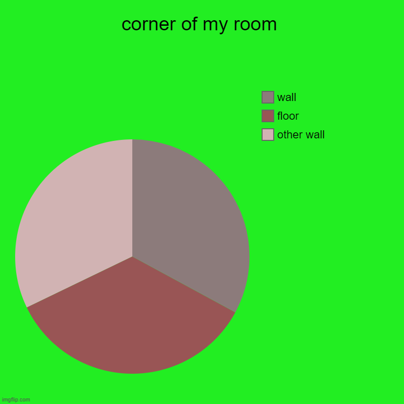 corner of my room | other wall, floor, wall | image tagged in charts,pie charts | made w/ Imgflip chart maker
