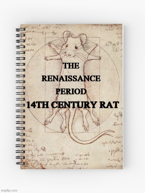 14th Century Rat |  THE RENAISSANCE PERIOD; 14TH CENTURY RAT | image tagged in rats,renaissance | made w/ Imgflip meme maker