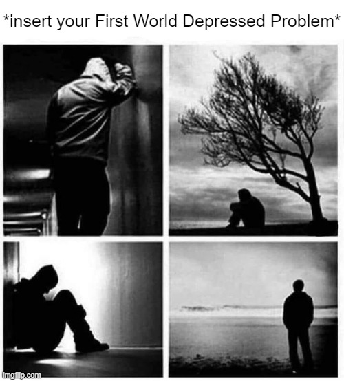 First World Depression Problems | *insert your First World Depressed Problem* | image tagged in first world depression problems,first world problems,depressed,depression,new template,custom template | made w/ Imgflip meme maker