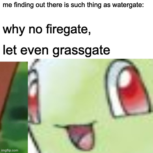 surprised chikorita meme! | me finding out there is such thing as watergate:; why no firegate, let even grassgate | image tagged in surprised pikachu,pikachu,detective pikachu,unsettled detective pikachu,pikachu learned stab,pikachu crying | made w/ Imgflip meme maker