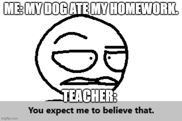 You Expect Me To Believe That | ME: MY DOG ATE MY HOMEWORK. TEACHER: | image tagged in you expect me to believe that | made w/ Imgflip meme maker