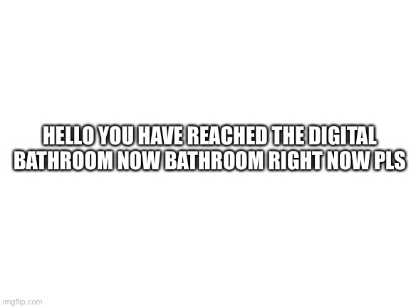 Blank White Template | HELLO YOU HAVE REACHED THE DIGITAL BATHROOM NOW BATHROOM RIGHT NOW PLS | image tagged in blank white template | made w/ Imgflip meme maker