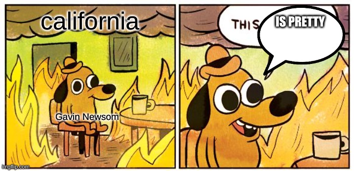 This Is Fine | california; IS PRETTY; Gavin Newsom | image tagged in memes,this is fine | made w/ Imgflip meme maker