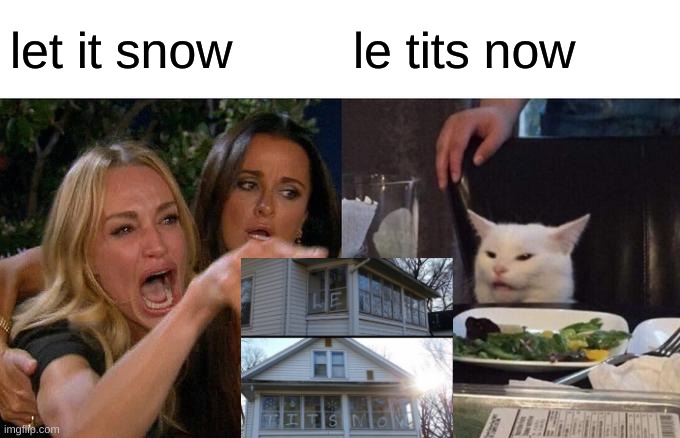 Woman Yelling At Cat | let it snow; le tits now | image tagged in memes,woman yelling at cat | made w/ Imgflip meme maker