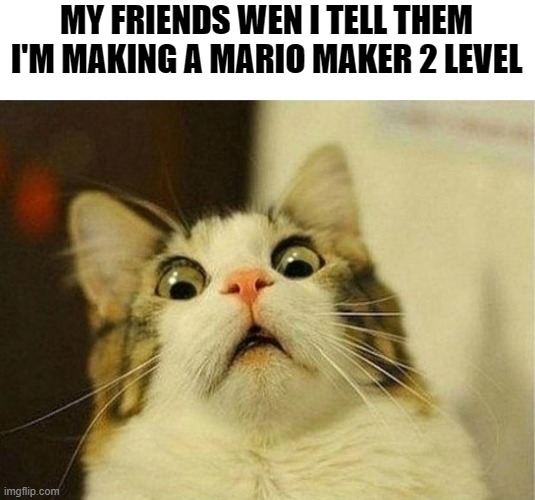 Scared Cat Meme | MY FRIENDS WEN I TELL THEM I'M MAKING A MARIO MAKER 2 LEVEL | image tagged in memes,scared cat | made w/ Imgflip meme maker