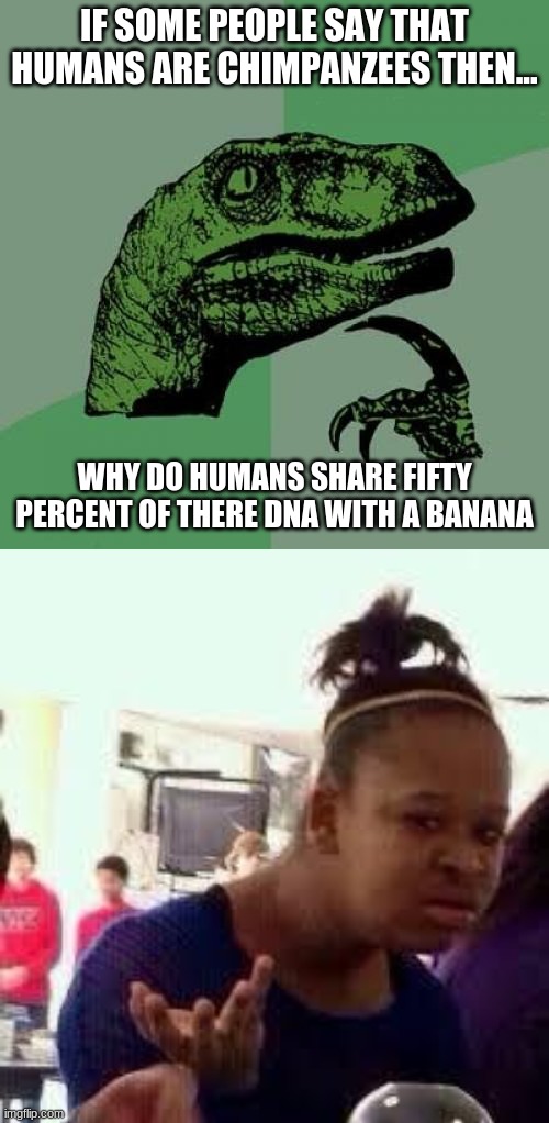 IF SOME PEOPLE SAY THAT HUMANS ARE CHIMPANZEES THEN... WHY DO HUMANS SHARE FIFTY PERCENT OF THERE DNA WITH A BANANA | image tagged in memes,philosoraptor,bruh | made w/ Imgflip meme maker