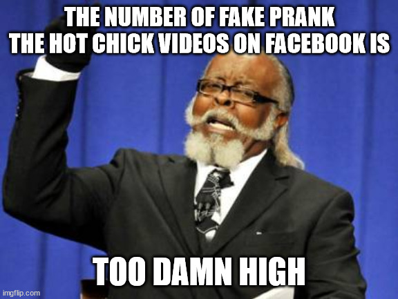 Too Damn High | THE NUMBER OF FAKE PRANK THE HOT CHICK VIDEOS ON FACEBOOK IS; TOO DAMN HIGH | image tagged in memes,too damn high,memes | made w/ Imgflip meme maker