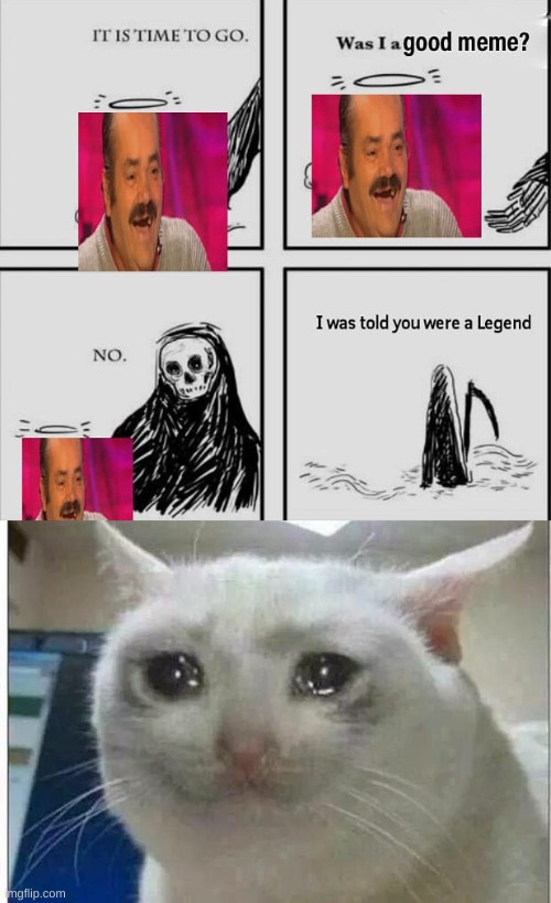 (sad noises) | image tagged in crying cat | made w/ Imgflip meme maker