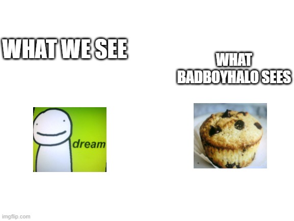 Blank White Template | WHAT BADBOYHALO SEES; WHAT WE SEE | image tagged in blank white template | made w/ Imgflip meme maker