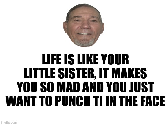 I used his face cause its like something he would say, (And I meant "it", not 'ti".) | LIFE IS LIKE YOUR LITTLE SISTER, IT MAKES YOU SO MAD AND YOU JUST WANT TO PUNCH TI IN THE FACE | image tagged in blank white template,funny,kewlew | made w/ Imgflip meme maker