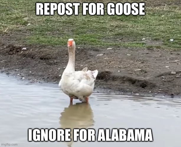 REPOST FOR GOOSE; IGNORE FOR ALABAMA | made w/ Imgflip meme maker