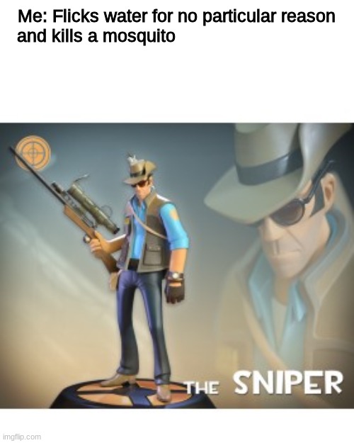 The Sniper TF2 meme | Me: Flicks water for no particular reason; and kills a mosquito | image tagged in the sniper tf2 meme | made w/ Imgflip meme maker