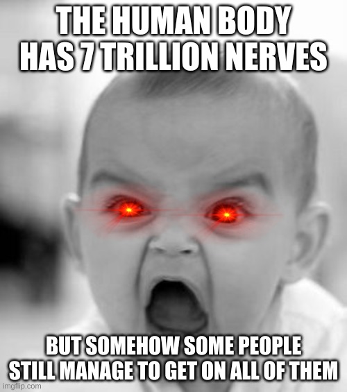 Nerves | THE HUMAN BODY HAS 7 TRILLION NERVES; BUT SOMEHOW SOME PEOPLE STILL MANAGE TO GET ON ALL OF THEM | image tagged in memes,angry baby | made w/ Imgflip meme maker