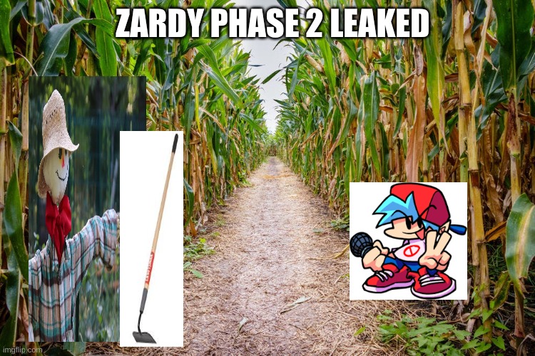 OMG I FOUND A LEAK OF ZRADY FAZE 2!!!111!! | ZARDY PHASE 2 LEAKED | image tagged in friday night funkin | made w/ Imgflip meme maker