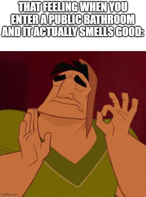 It is quite satisfying, I must say |  THAT FEELING WHEN YOU ENTER A PUBLIC BATHROOM AND IT ACTUALLY SMELLS GOOD: | image tagged in pacha perfect,bathroom humor,bathroom,smells,perfection,perfect | made w/ Imgflip meme maker