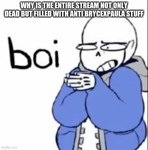 last post losers | WHY IS THE ENTIRE STREAM NOT ONLY DEAD BUT FILLED WITH ANTI BRYCEXPAULA STUFF | image tagged in sans boi | made w/ Imgflip meme maker