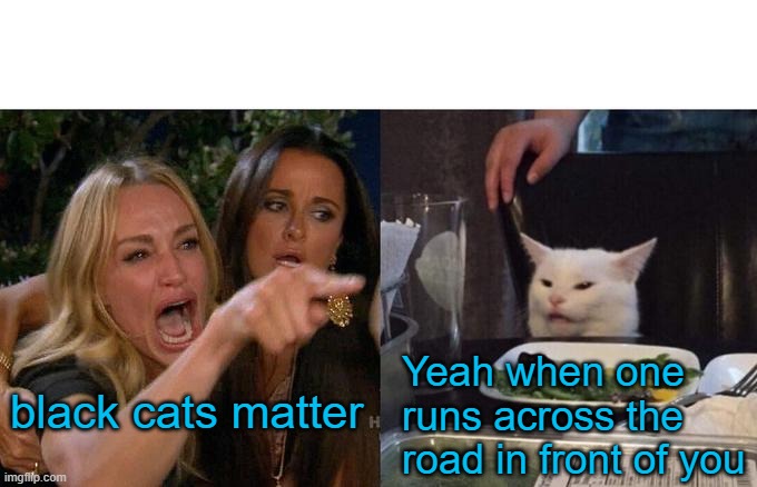 Woman Yelling At Cat Meme | Yeah when one runs across the road in front of you; black cats matter | image tagged in memes,woman yelling at cat | made w/ Imgflip meme maker