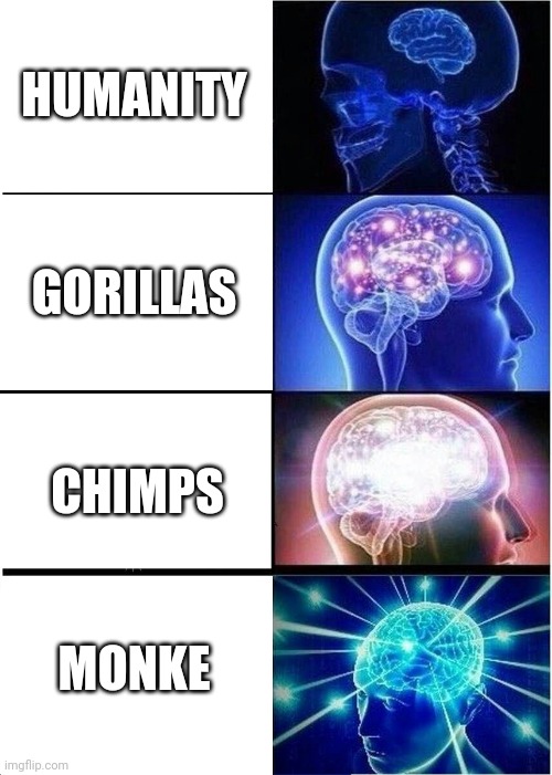 Expanding Brain Meme | HUMANITY; GORILLAS; CHIMPS; MONKE | image tagged in memes,expanding brain | made w/ Imgflip meme maker