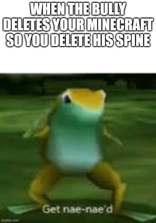 XDDD | WHEN THE BULLY DELETES YOUR MINECRAFT SO YOU DELETE HIS SPINE | image tagged in get nae naed | made w/ Imgflip meme maker