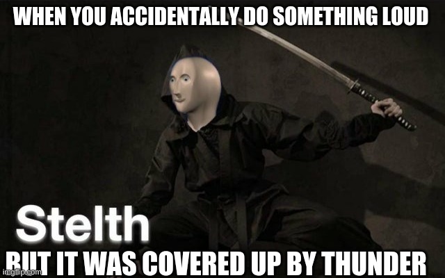 perfect timing | WHEN YOU ACCIDENTALLY DO SOMETHING LOUD; BUT IT WAS COVERED UP BY THUNDER | image tagged in stelth | made w/ Imgflip meme maker