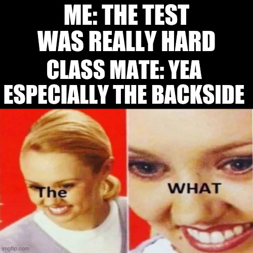 Test be like | ME: THE TEST WAS REALLY HARD; CLASSMATE: YEA ESPECIALLY THE BACKSIDE | image tagged in the what | made w/ Imgflip meme maker