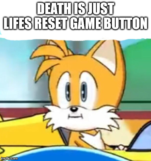 Tails hold up | DEATH IS JUST LIFES RESET GAME BUTTON | image tagged in tails hold up | made w/ Imgflip meme maker