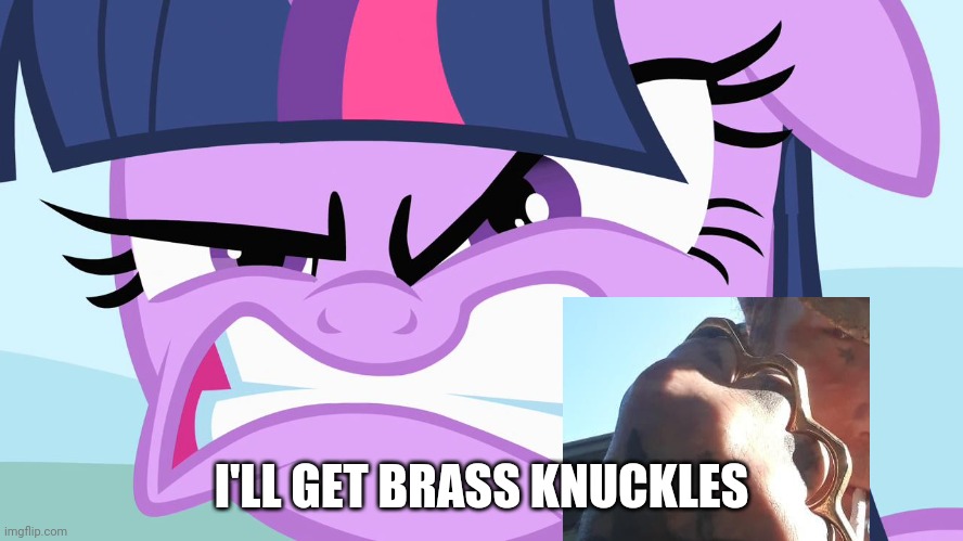 ANGRY Twilight | I'LL GET BRASS KNUCKLES | image tagged in angry twilight | made w/ Imgflip meme maker