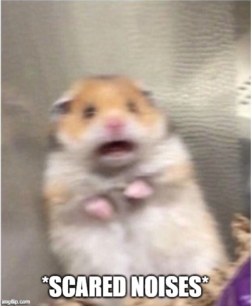 Scared Hamster | *SCARED NOISES* | image tagged in scared hamster | made w/ Imgflip meme maker