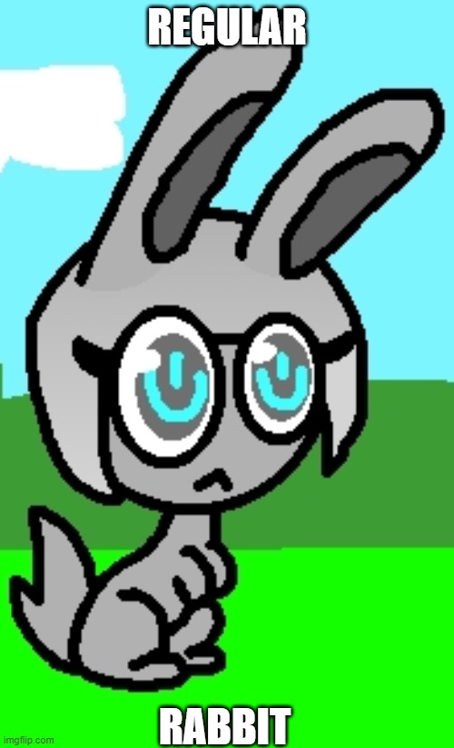 Yuziki look weird as regular rabbit | REGULAR; RABBIT | image tagged in memes,rabbits,funny | made w/ Imgflip meme maker