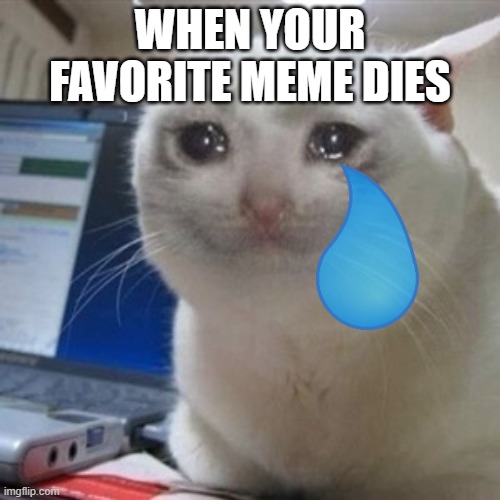 Crying cat |  WHEN YOUR FAVORITE MEME DIES | image tagged in crying cat | made w/ Imgflip meme maker