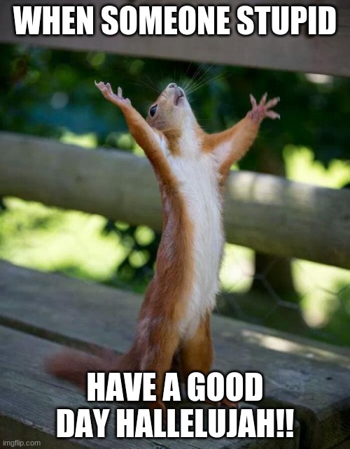 Happy Squirrel | WHEN SOMEONE STUPID; HAVE A GOOD DAY HALLELUJAH!! | image tagged in happy squirrel | made w/ Imgflip meme maker