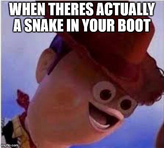 uh oh | WHEN THERES ACTUALLY A SNAKE IN YOUR BOOT | image tagged in derp woody | made w/ Imgflip meme maker