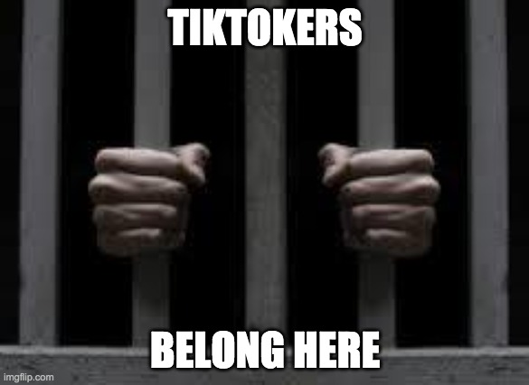 Jail | TIKTOKERS; BELONG HERE | image tagged in jail | made w/ Imgflip meme maker