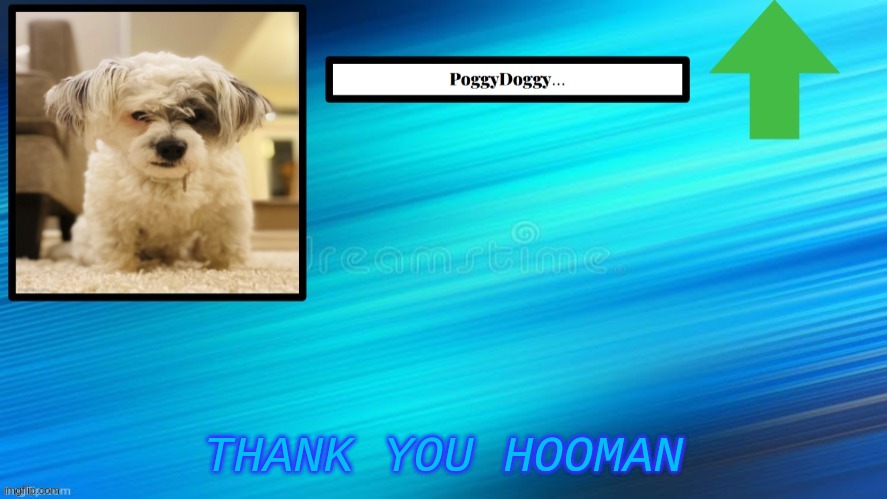 THANK YOU HOOMAN | image tagged in poggydoggy temp | made w/ Imgflip meme maker