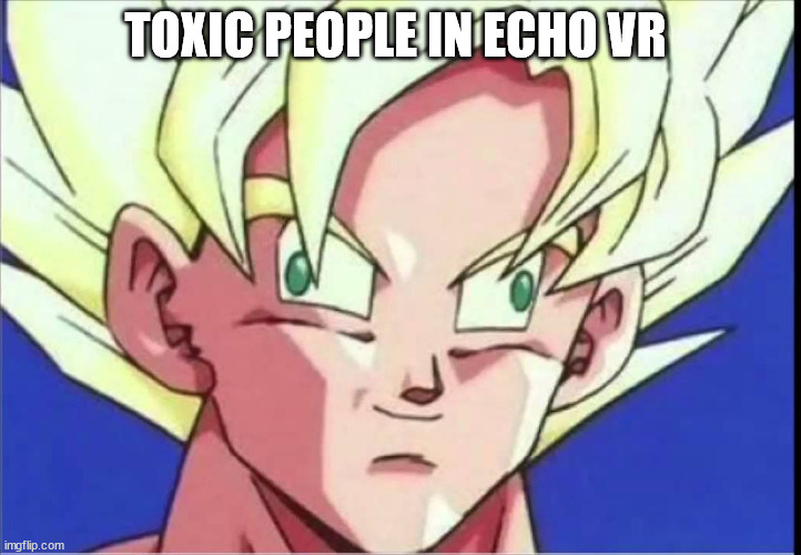 yes. | TOXIC PEOPLE IN ECHO VR | image tagged in derp goku | made w/ Imgflip meme maker