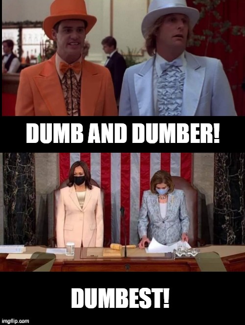 Dumb Dumber And Dumbest Imgflip 4536