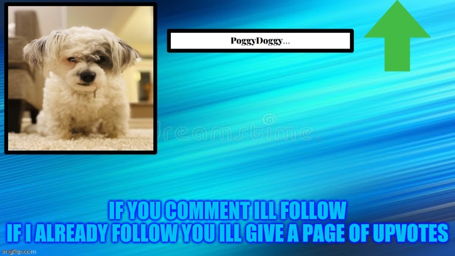 IF YOU COMMENT ILL FOLLOW
IF I ALREADY FOLLOW YOU ILL GIVE A PAGE OF UPVOTES | image tagged in poggydoggy temp | made w/ Imgflip meme maker