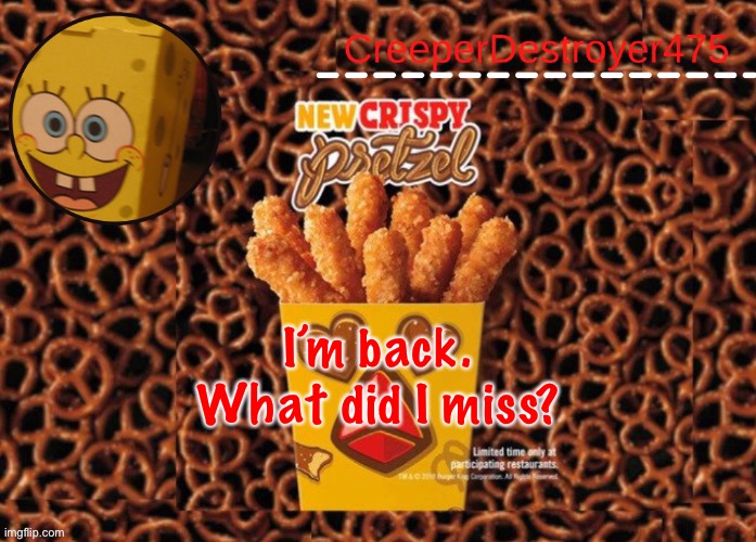 CD475 Chicken Fries announcement template | I’m back.

What did I miss? | image tagged in cd475 chicken fries announcement template | made w/ Imgflip meme maker