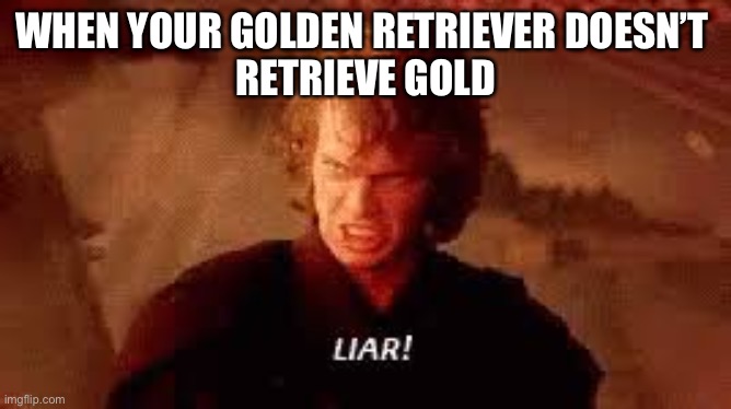 Ungolden retriever | WHEN YOUR GOLDEN RETRIEVER DOESN’T 
RETRIEVE GOLD | image tagged in anakin liar | made w/ Imgflip meme maker
