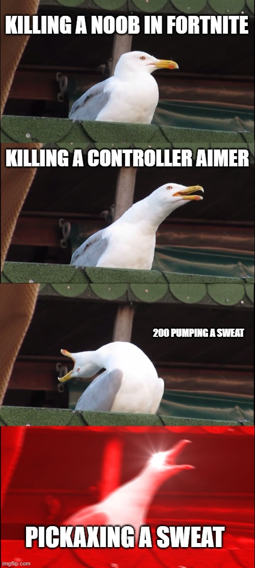 Inhaling Seagull | KILLING A NOOB IN FORTNITE; KILLING A CONTROLLER AIMER; 200 PUMPING A SWEAT; PICKAXING A SWEAT | image tagged in memes,inhaling seagull | made w/ Imgflip meme maker