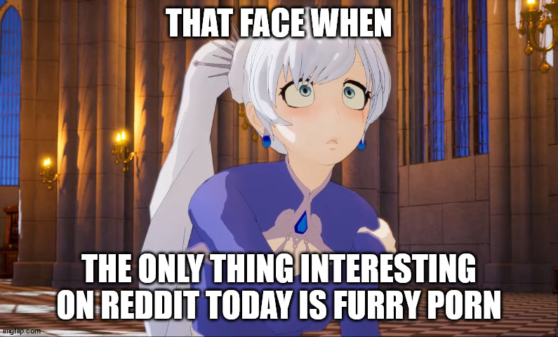 That face when Weiss | THAT FACE WHEN; THE ONLY THING INTERESTING ON REDDIT TODAY IS FURRY PORN | image tagged in that face when weiss,anime_memes | made w/ Imgflip meme maker