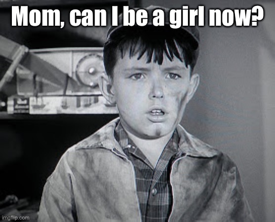 Beaver Cleaver  | Mom, can I be a girl now? | image tagged in beaver cleaver | made w/ Imgflip meme maker