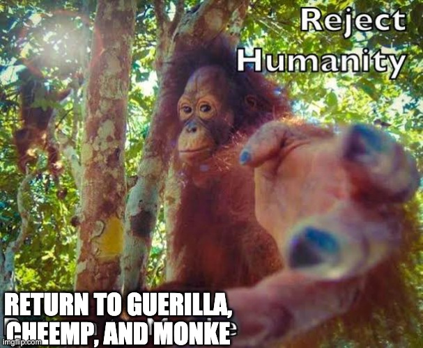 Return to monke | RETURN TO GUERILLA, CHEEMP, AND MONKE | image tagged in return to monke | made w/ Imgflip meme maker