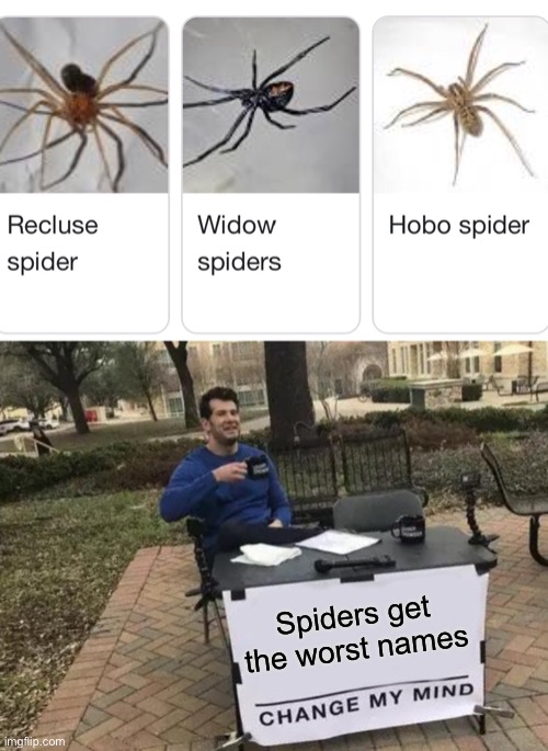 Poor spiders.  Are they drinking all the time? | Spiders get the worst names | image tagged in memes,change my mind,funny,spider | made w/ Imgflip meme maker