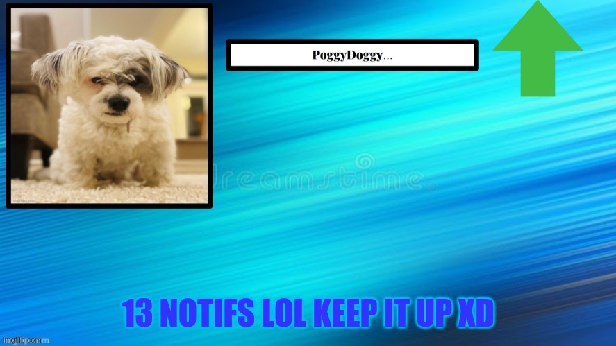13 NOTIFS LOL KEEP IT UP XD | image tagged in poggydoggy temp | made w/ Imgflip meme maker