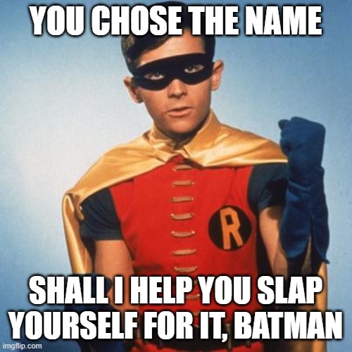 Robin | YOU CHOSE THE NAME SHALL I HELP YOU SLAP YOURSELF FOR IT, BATMAN | image tagged in robin | made w/ Imgflip meme maker